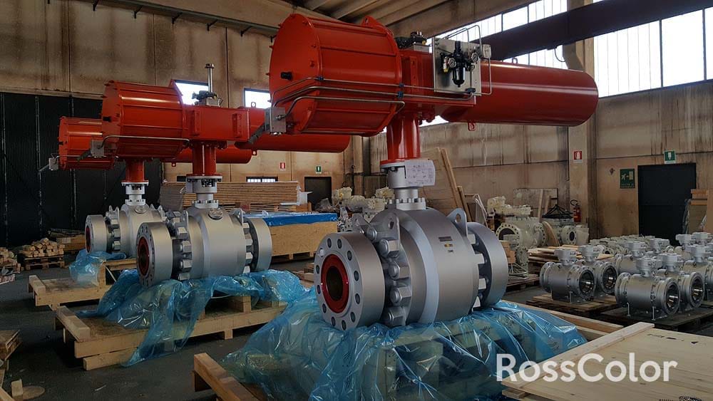 Photogallery Labeling and Assembly of Motors RossColor